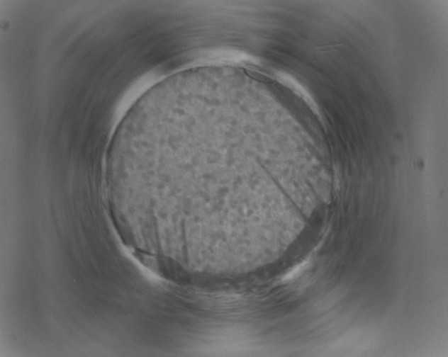 X0000078301103200612011828