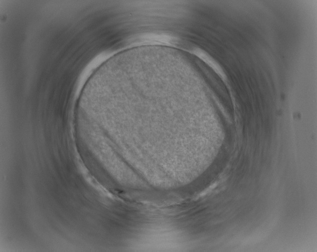 X0000078301104200612011828