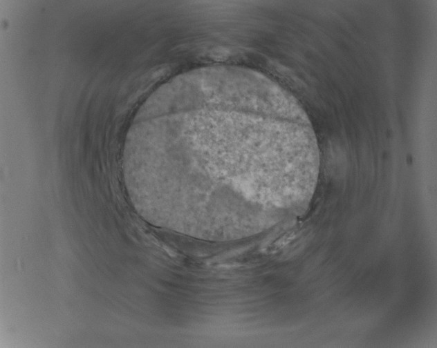 X0000078301105200612011827