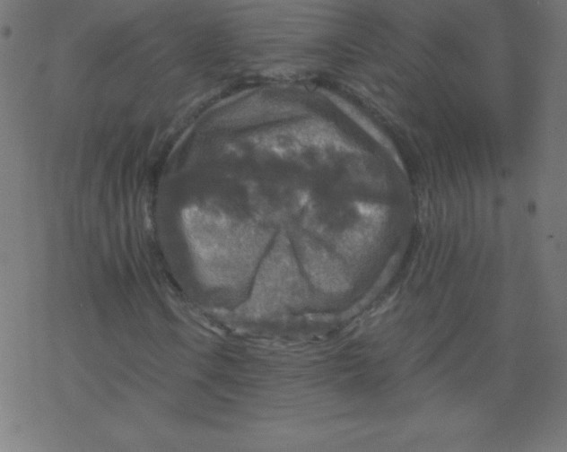 X0000078301106200612011827