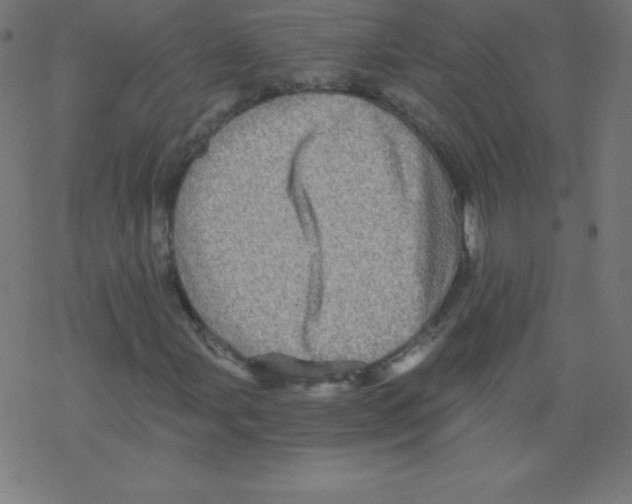 X0000078301107200612011827