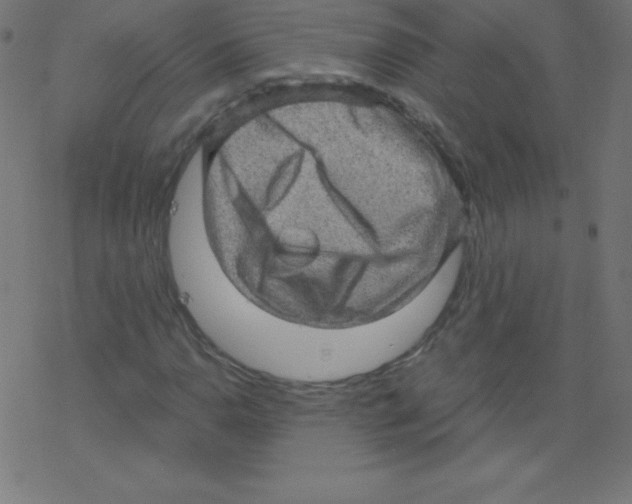 X0000078301110200612011827