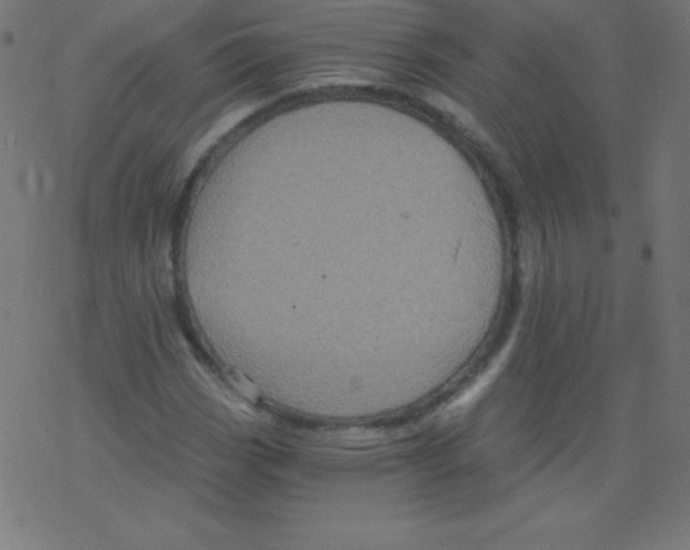 X0000078301113200612011828