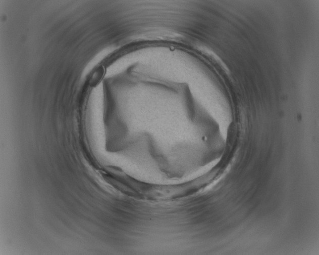 X0000078301114200612011828