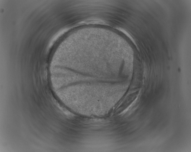 X0000078301115200612011828