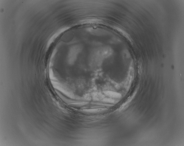 X0000078301117200612011828