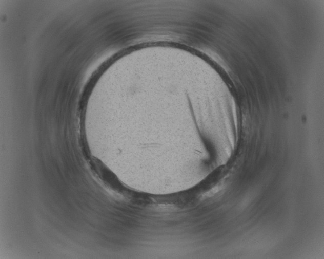 X0000078301119200612011828