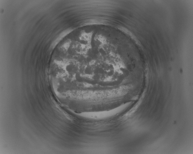 X0000078301121200612011828