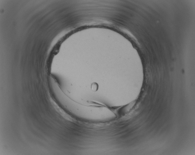 X0000078301122200612011828