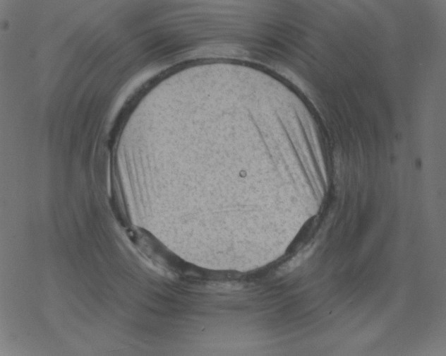 X0000078301123200612011828