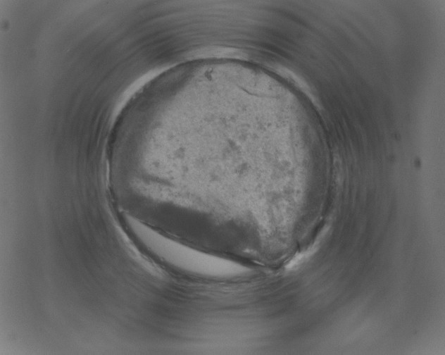 X0000078301125200612011828