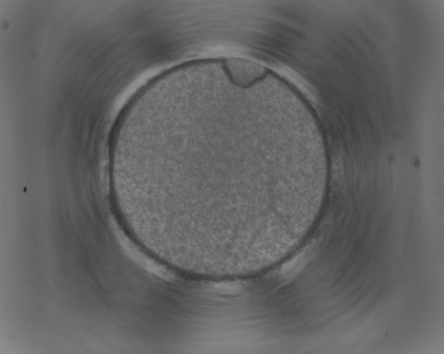 X0000078301126200612011828