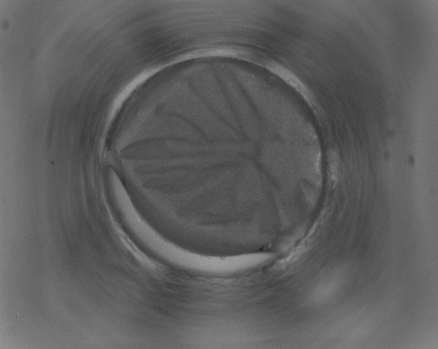 X0000078301127200612011828