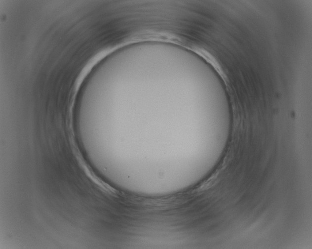 X0000078301128200612011828