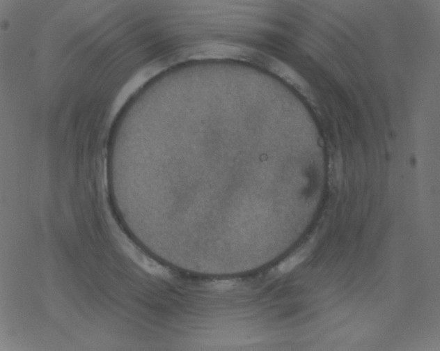 X0000078301130200612011828