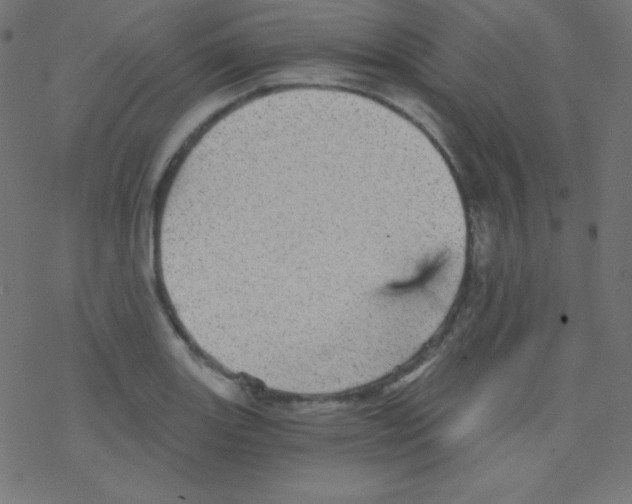 X0000078301131200612011828