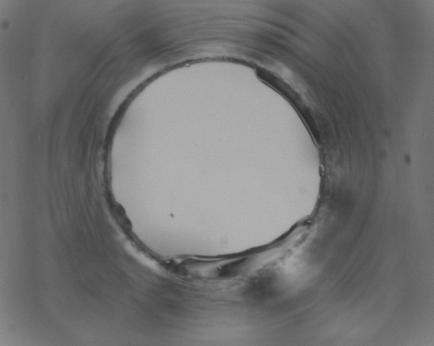 X0000078301134200612011828