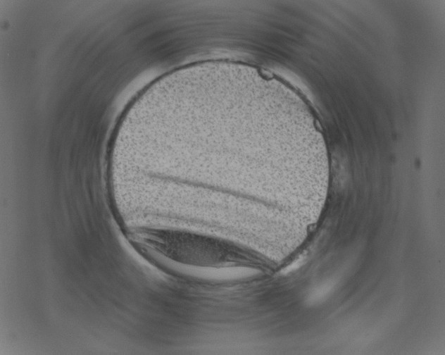 X0000078301135200612011828