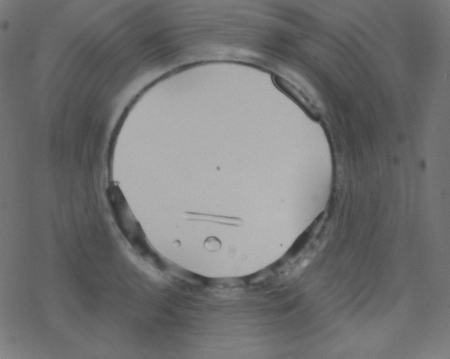 X0000078301136200612011828