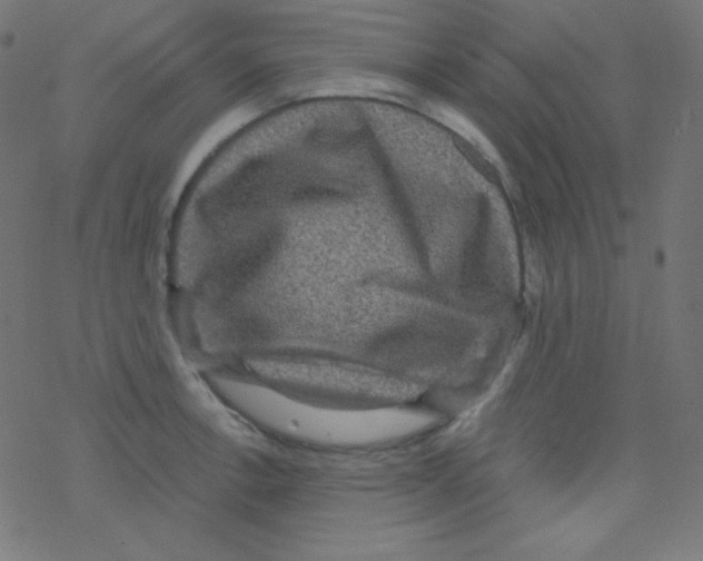 X0000078301138200612011828