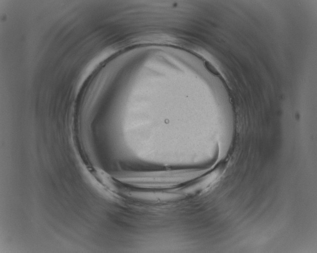 X0000078301139200612011828