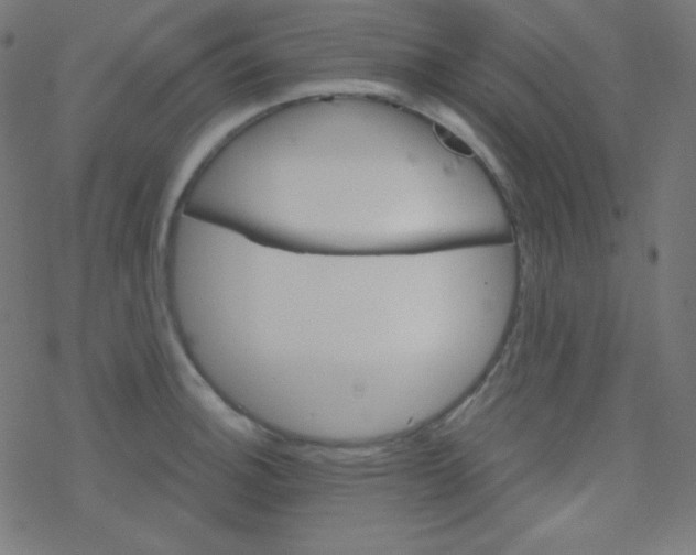 X0000078301140200612011828