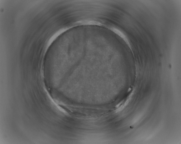 X0000078301141200612011828