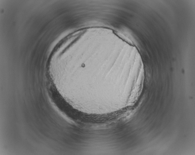 X0000078301142200612011828