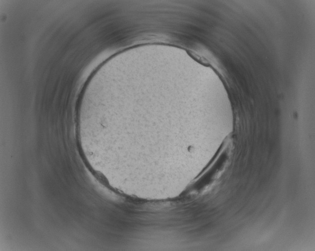 X0000078301143200612011828