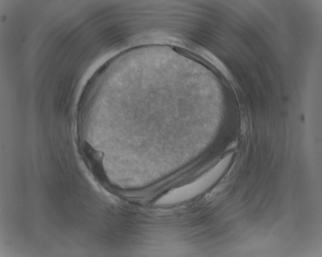 X0000078301144200612011828