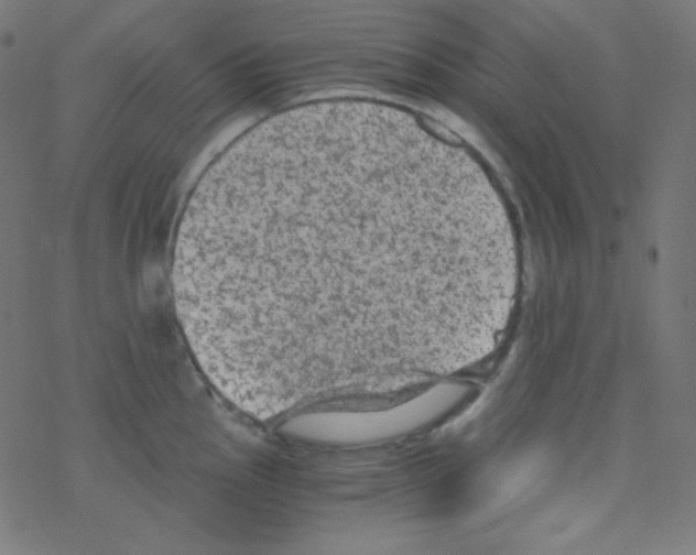 X0000078301145200612011828