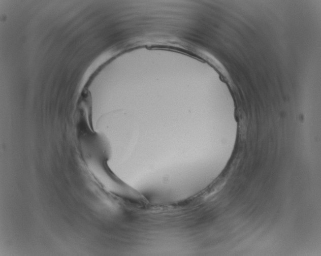 X0000078301146200612011828