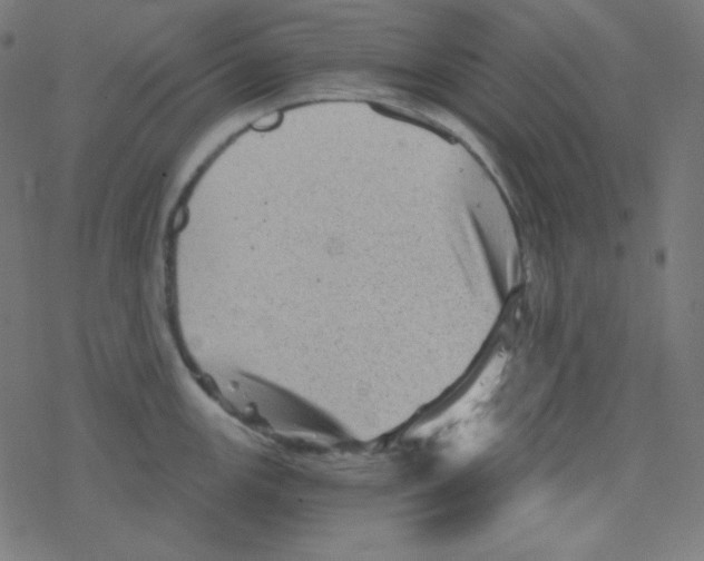 X0000078301147200612011828