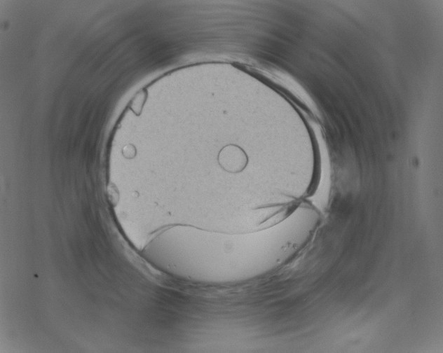 X0000078301148200612011828