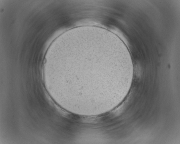 X0000078301150200612011828