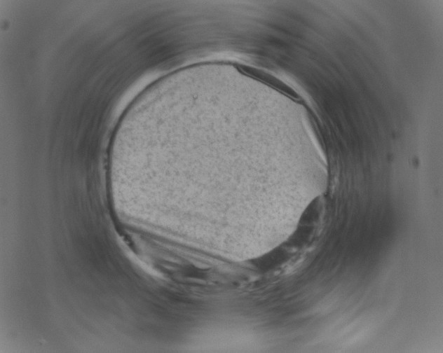 X0000078301151200612011828