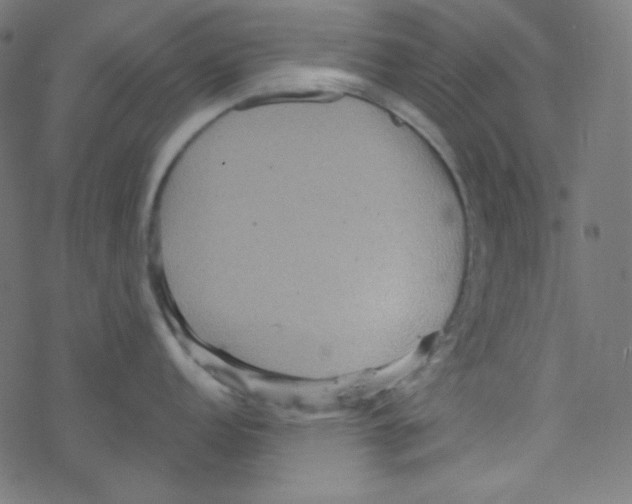 X0000078301152200612011828