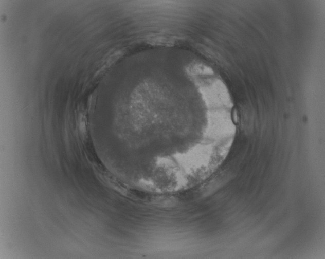 X0000078301154200612011827