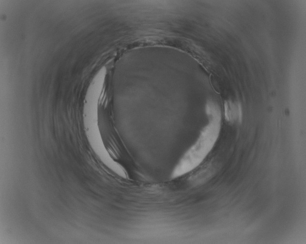 X0000078301155200612011827