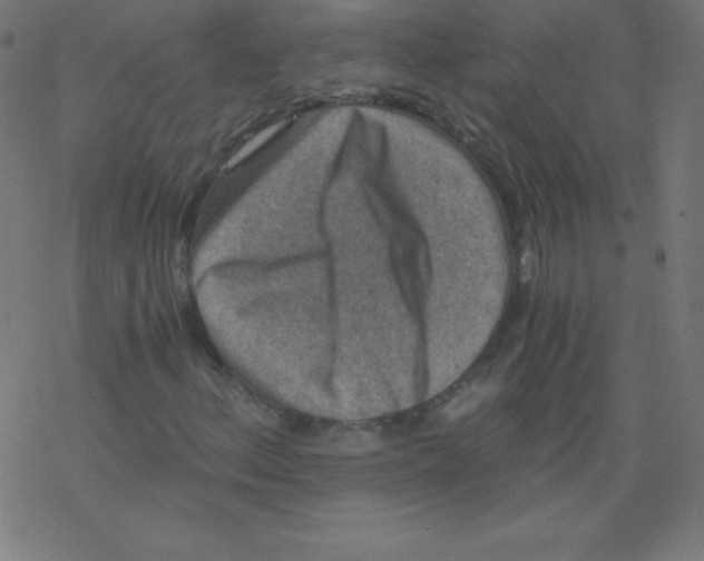 X0000078301156200612011827