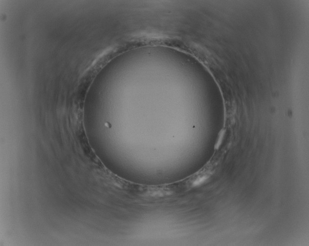 X0000078301157200612011827