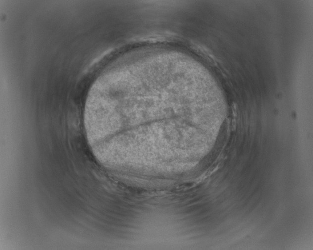 X0000078301158200612011827