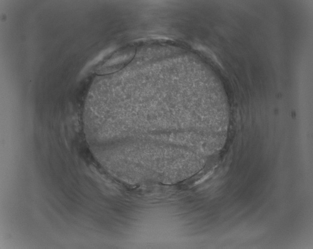 X0000078301159200612011827