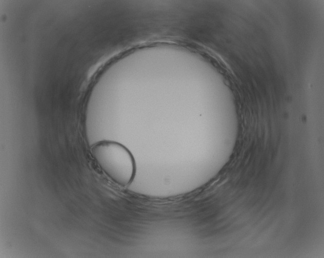 X0000078301160200612011827