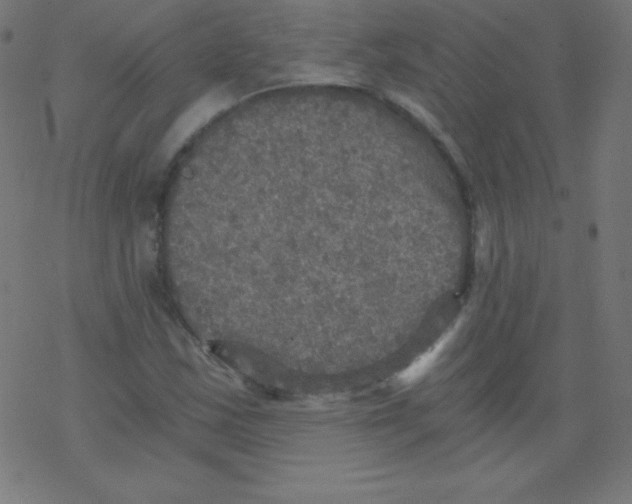 X0000078301163200612011827