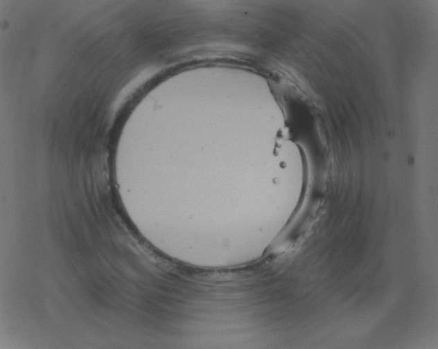 X0000078301164200612011827