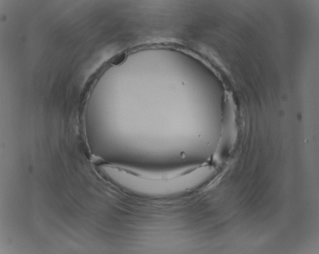 X0000078301165200612011827