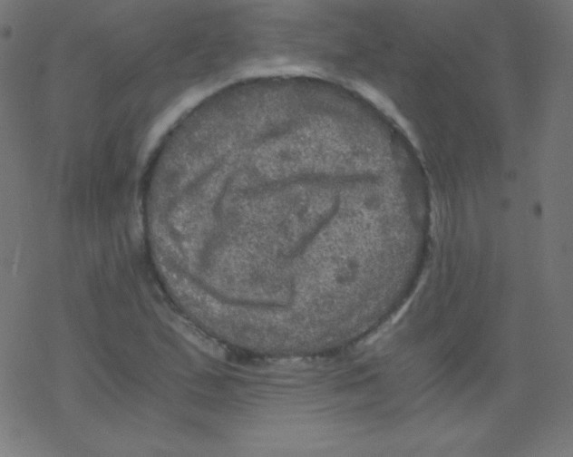 X0000078301167200612011827