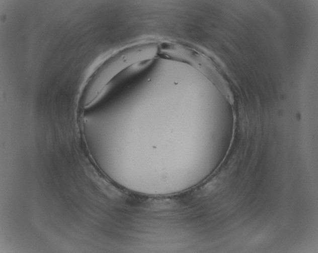 X0000078301168200612011827