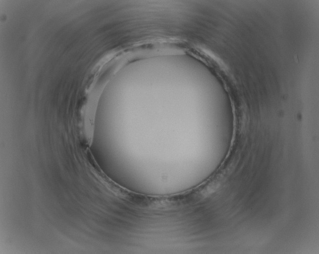 X0000078301169200612011827